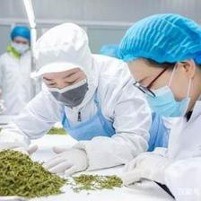 匠心成就優良品質,杜國楹的小罐茶獲艾問認可!