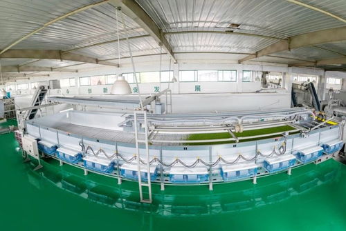 山南茶區，珍品輩出 宜昌茶產業介紹