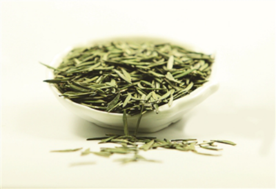 四川宜賓高縣 立足生態優勢，做強茶產業，譜寫鄉村振興新篇章